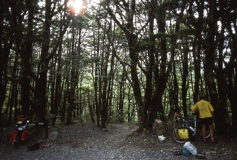 WT 0200 041-20 New Zealand.jpg